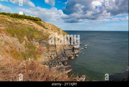 Lizard Point Seascape, la terra più meridionale della Gran Bretagna, la Cornovaglia in estate Foto Stock