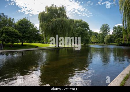 La Laguna è un piccolo lago nel Boston Common, che è un parco pubblico e giardino del Massachusetts Foto Stock