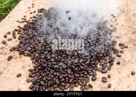 Tostatura fatta in casa e secondo il vecchio e vecchio metodo dei chicchi di caffè. Mettere il fuoco e il secchio di ferro, mettere i fagioli in un tamburo e girarlo sull'abete Foto Stock