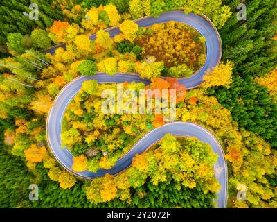 Una splendida prospettiva aerea cattura una strada tortuosa avvolta da un vivace fogliame autunnale. Gli alberi presentano una ricca tavolozza di gialli, arance e rossi, che mettono in risalto la bellezza della stagione. Foto Stock