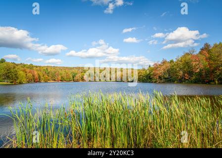 Splendido lago con coste boscose in una giornata d'autunno soleggiata. Splendida fogliame autunnale. Foto Stock