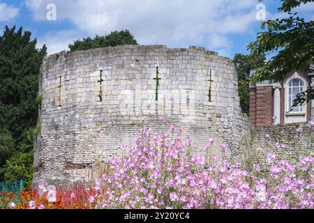 Multangular Tower nei giardini dei musei, York, North Yorkshire, Inghilterra Foto Stock