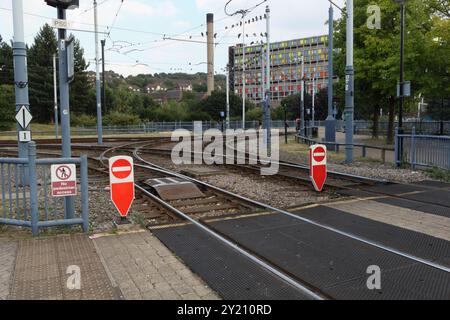 Le linee del tram nel centro di Sheffield, Inghilterra, Regno Unito, l'incrocio della rete ferroviaria leggera Trackscape non prevede l'ingresso pedonale Foto Stock