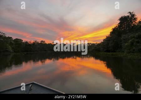 Ammira dalla barca il meraviglioso tramonto sul fiume Pantanal con riflessi sull'acqua, le paludi di Pantanal, il Mato grosso, il Brasile e il Sud America Foto Stock