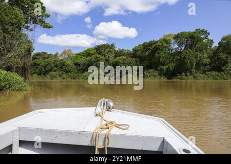 Vista di un tipico fiume Pantanal da una barca in una giornata di sole con riflessi della vegetazione sulla superficie dell'acqua, Pantanal Wetlands, Mato Grosso, B Foto Stock