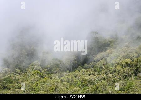 Nuvole che volano sulla lussureggiante foresta pluviale atlantica nella Serra da Mantiqueira (catena montuosa di Mantiqueira), Itatiaia, Brasile, Sud America Foto Stock