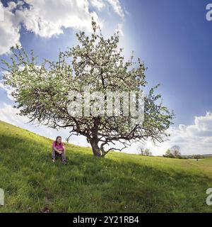 Ragazza sotto l'albero di mele Foto Stock