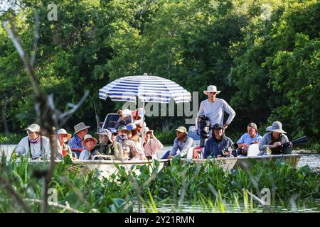 Vista di un tipico fiume Pantanal da una barca in una giornata di sole, Pantanal Wetlands, Mato grosso, Brasile, Sud America Foto Stock