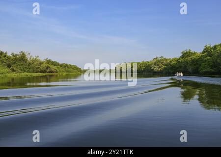 Tour in barca su un fiume Pantanal in vetro alla luce del pomeriggio con riflessi d'acqua, Pantanal Wetlands, Mato grosso, Brasile, Sud America Foto Stock