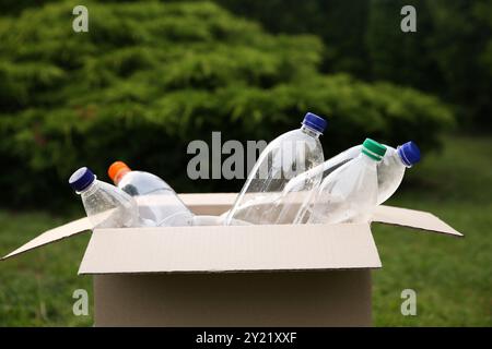 Riciclaggio. Bottiglie di plastica in scatola di cartone all'aperto Foto Stock