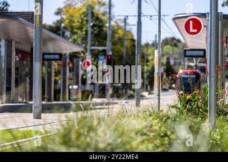 Stazione del tram di Ngara nell'ospedale di Cumberland Foto Stock