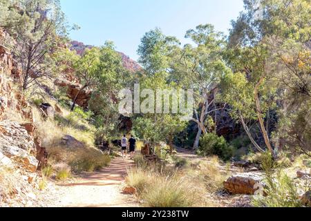 Percorso per Standley Chasm, Hugh, West MacDonnell Ranges, West MacDonnell National Park (Tjoritja), Northern Territory, Australia Foto Stock