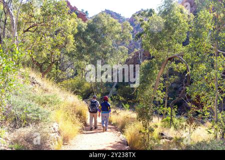 Percorso per Standley Chasm, Hugh, West MacDonnell Ranges, West MacDonnell National Park (Tjoritja), Northern Territory, Australia Foto Stock