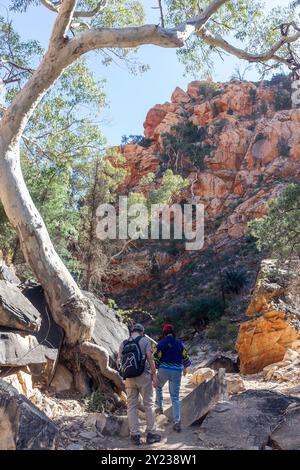 Percorso per Standley Chasm, Hugh, West MacDonnell Ranges, West MacDonnell National Park (Tjoritja), Northern Territory, Australia Foto Stock