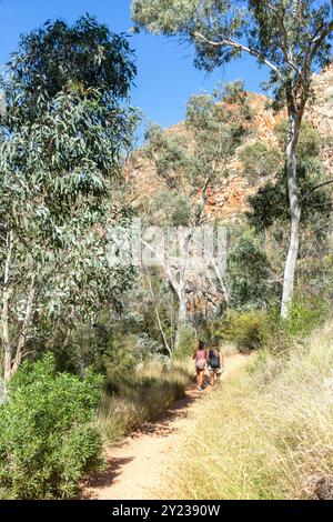 Percorso per Standley Chasm, Hugh, West MacDonnell Ranges, West MacDonnell National Park (Tjoritja), Northern Territory, Australia Foto Stock