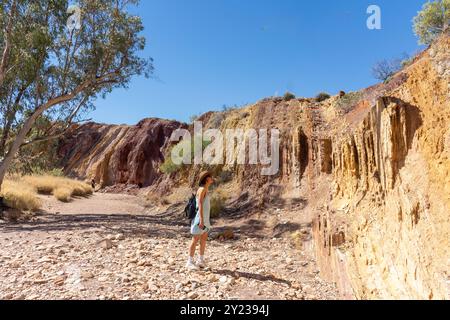 Vista della cava, delle Ochre Pits, West MacDonnell Ranges, West MacDonnell National Park (Tjoritja), Northern Territory, Australia Foto Stock