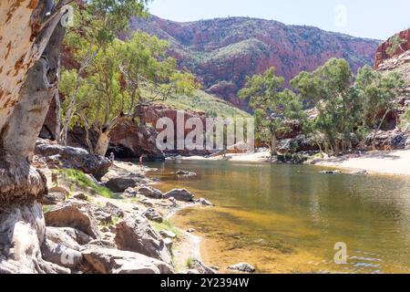 Ormiston Gorge Waterhole, West MacDonnell Ranges, West MacDonnell National Park (Tjoritja), Northern Territory, Australia Foto Stock