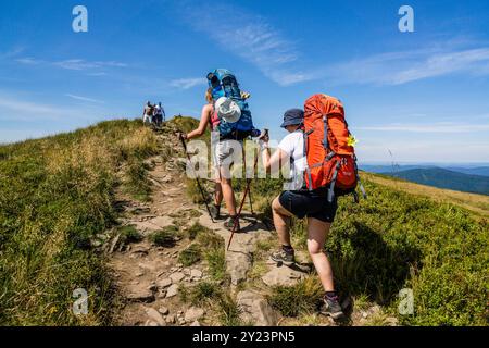 Escursionisti sul crinale della Polonina di Carynska, Parco Nazionale di Bieszczady, riserva UNESCO - riserva della biosfera dei Carpazi orientali, Monti Carpazi, Polonia, Foto Stock