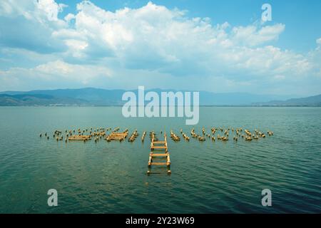 Struttura di base del molo del lago a Doiran in Macedonia del Nord, attenzione selettiva Foto Stock