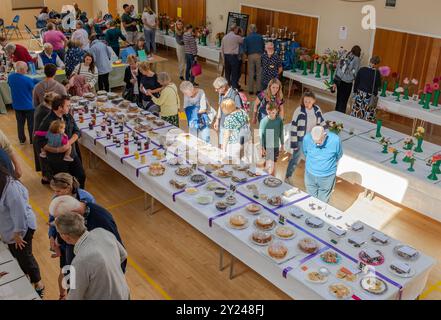 Mostra del villaggio nella Old Basing Village Hall, Hampshire, Inghilterra Regno Unito, nel settembre 2024. Vista delle persone e delle bancarelle con ingresso al concorso dal balcone Foto Stock