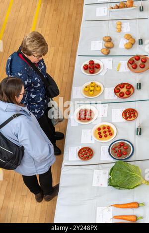 Mostra del villaggio nella Old Basing Village Hall, Hampshire, Inghilterra Regno Unito, nel settembre 2024. Vista delle persone e delle bancarelle con ingresso al concorso dal balcone Foto Stock