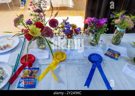 Mostra del villaggio nella Old Basing Village Hall, Hampshire, Inghilterra, Regno Unito, nel settembre 2024. Partecipazione al concorso per bambini - fiori in marmellata Foto Stock