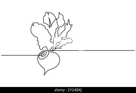 Barbabietola con disegno a linea continua stile barbabietola. Schizzo lineare nero di barbabietola da giardino isolato su sfondo bianco. Un disegno a linea continua Illustrazione Vettoriale