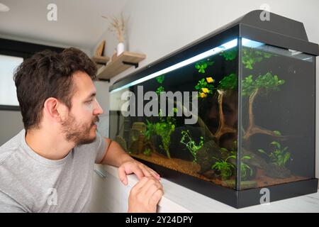 L'uomo sta osservando il suo bellissimo acquario, pesci colorati e piante Foto Stock