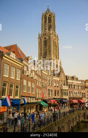 La Torre del Duomo con il Vismarkt in primo piano, Utrecht, Paesi Bassi Foto Stock