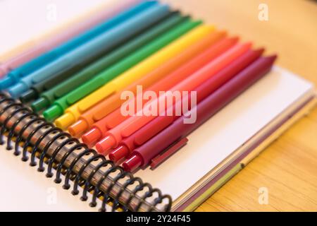 Penne colorate disposte in modo ordinato su un notebook con rilegatura a spirale Foto Stock