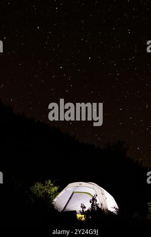 Tenda illuminata sotto un cielo stellato notturno in una foresta Foto Stock