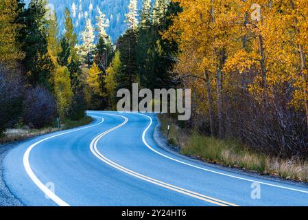 Strada curvilinea attraverso una vibrante foresta autunnale! Foto Stock