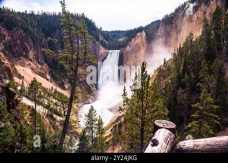 Upper Falls a Yellowstone, circondato da scogliere e alberi. Foto Stock