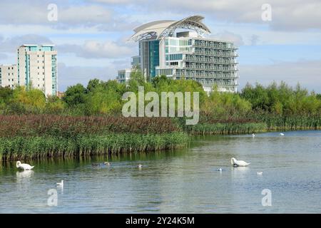 St David's Spa and Wetland Reserve, Cardiff Bay, Cardiff, Galles del Sud. Foto Stock