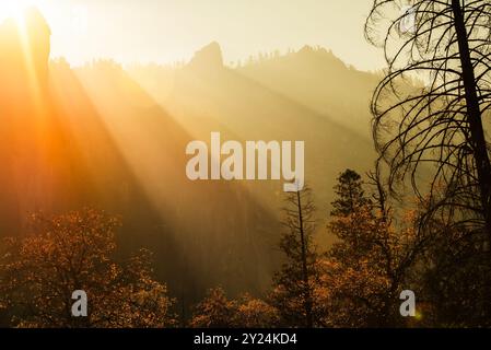 I raggi di sole dorati filtrano tra gli alberi, mentre il caldo bagliore sulla montagna Foto Stock