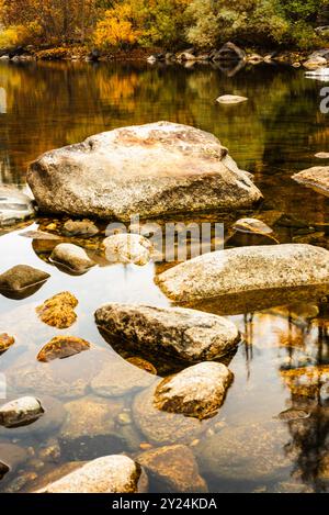 Primo piano di rocce fluviali in acque limpide, che riflettono alberi d'autunno dorati Foto Stock
