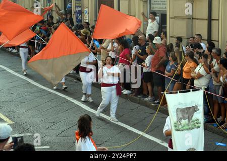 Palmi Reggio Calabria 25 ago 2024 - Varia di Palmi, aziende di vacche Foto Stock