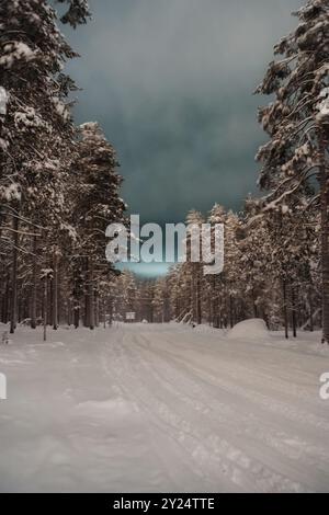 Piste per motoslitte nella foresta innevata in inverno a Rovaniemi, Lapponia Foto Stock