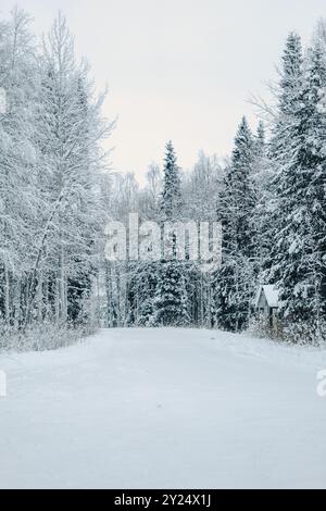 Strada innevata attraverso la foresta fino a Vikakongas, a Rovaniemi, Lapponia Foto Stock