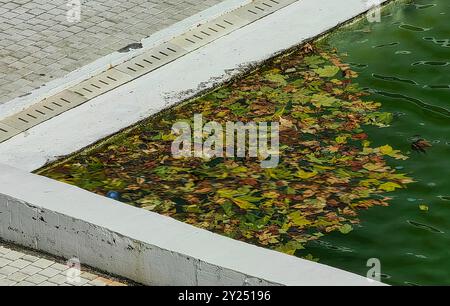 Acqua della piscina della città inquinata con foglie autunnali e sacchetto di plastica: Un problema ecologico Foto Stock