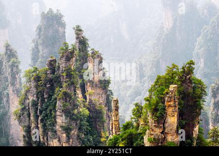 Incredibile vista dei pilastri di arenaria al quarzo (Avatar Rocks) Foto Stock