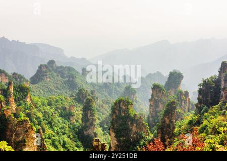 Splendida vista dei pilastri boscosi di arenaria naturale al quarzo Foto Stock