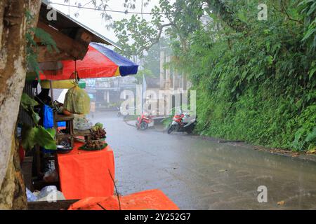 Bali in Indonesia - 5 febbraio 2024: Pioggia intensa durante il mosaico piovoso di febbraio Foto Stock