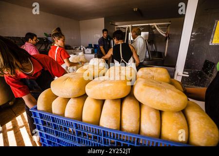 Scaffale con essiccazione del formaggio, fabbricazione artigianale di formaggio Mahon, Alcaiduset, Alaior, Minorca, Isole Baleari, Spagna. Foto Stock