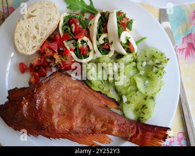 Pesce affumicato con morzarella e insalata di cetrioli - pesce affumicato con involtini di mozzarella ripieni e insalata di cetrioli sono un punto forte della festa in giardino Foto Stock