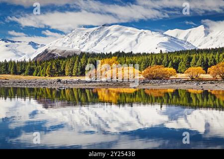 Paesaggio con montagne innevate, foresta e cielo blu riflesso nell'acqua ferma. Lago Tekapo in nuova Zelanda Foto Stock