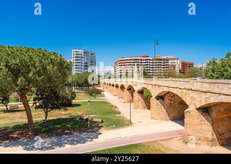 Ponte di San Giuseppe, un punto di riferimento storico nel Giardino del fiume Turia, Valencia, Spagna Foto Stock