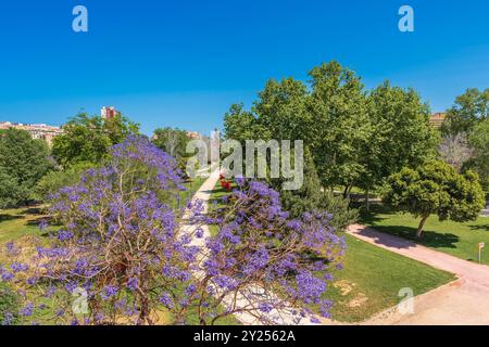 Vista idilliaca del Giardino del fiume Turia in una giornata di sole, Valencia, Spagna Foto Stock