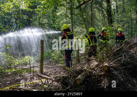 Übung zur Bekämpfung eines Vegetationsbrandes am 07.09.2024Übung zur Bekämpfung eines Vegetationsbrandes am 07.09.2024 07.09.24, Umwelt, Ungluecke: Uebung zur Bekaempfung eines vegetations- bzw. Waldbrandes im Hardter Wald in Moenchengladbach mit ca. 80 Einsatzkraeften. Feuerwehrkraefte beim Einsatz im Gehoelz. Foto: Kirchner-Media/TH *** esercizio per combattere un incendio vegetale il 07 09 2024Esercisi per combattere un incendio vegetale il 07 09 2024 07 09 24, ambiente, incidenti esercizio per combattere una vegetazione o un incendio boschivo nell'Hardter Wald di Moenchengladbach con circa 80 vigili del fuoco in servizio in t Foto Stock