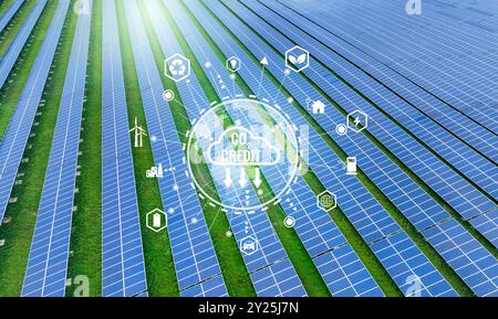 Concetto di credito al carbonio con un impianto solare in background. Soluzioni di energia verde attraverso fonti energetiche rinnovabili sostenibili, compreso l'eolico Foto Stock